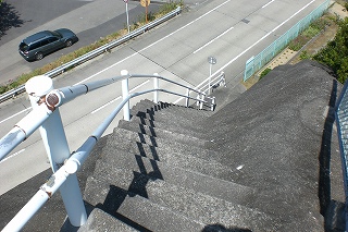 b0082242_23223963.jpg