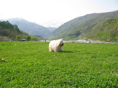 c0117442_2375788.jpg