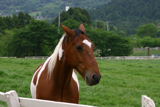 f0094843_23305659.jpg