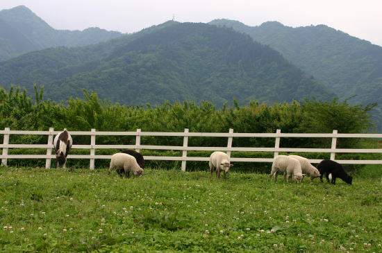 f0094843_23325358.jpg
