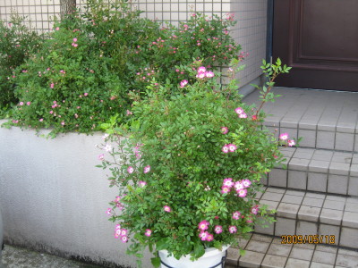 e0121548_22375420.jpg