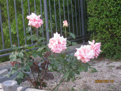 e0121548_22502352.jpg