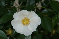 f0201348_1811915.jpg
