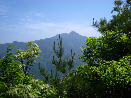 c0179351_2031540.jpg
