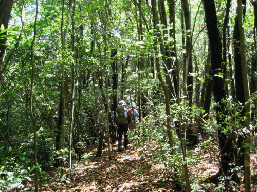 c0179351_20413054.jpg