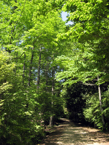 f0007956_18341611.jpg