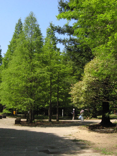 f0007956_1834618.jpg