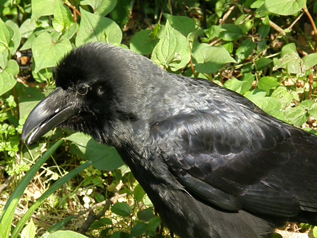 e0064158_23554947.jpg