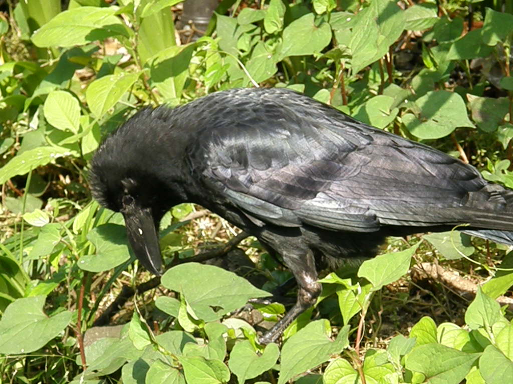 e0064158_23563681.jpg