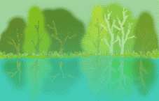 c0119160_21425863.gif