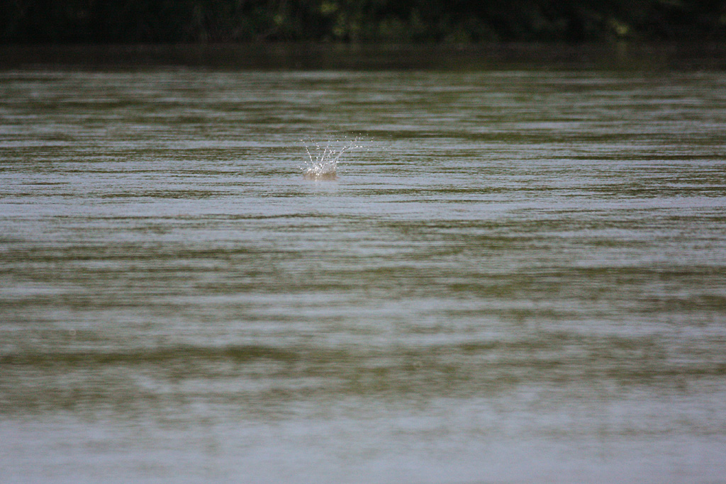 d0148060_222299.jpg