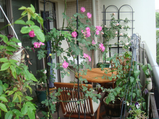 b0061261_1284637.jpg