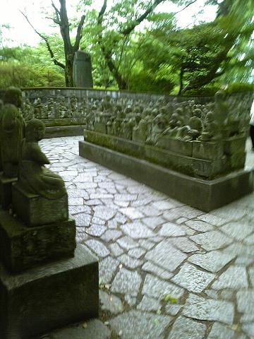 c0000461_2331274.jpg