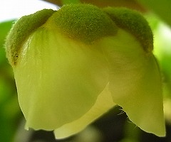 b0169765_15565978.jpg