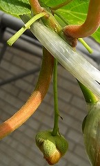 b0169765_173541.jpg