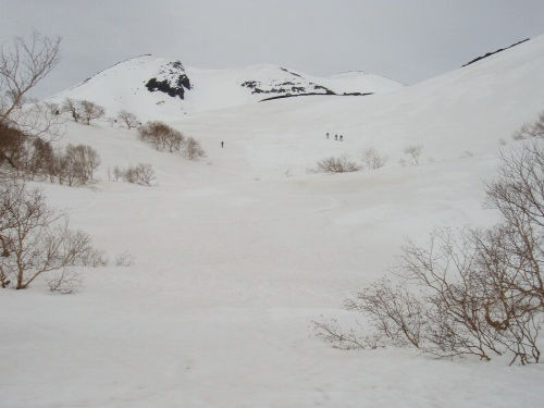 b0050067_228189.jpg