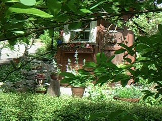 f0142668_60315.jpg