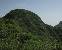 c0042869_14341366.jpg