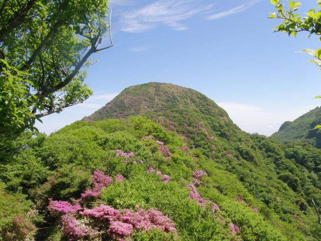 c0042869_14353814.jpg