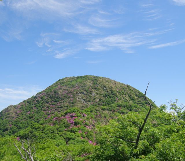 c0042869_1442148.jpg