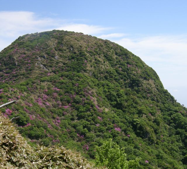 c0042869_16514410.jpg
