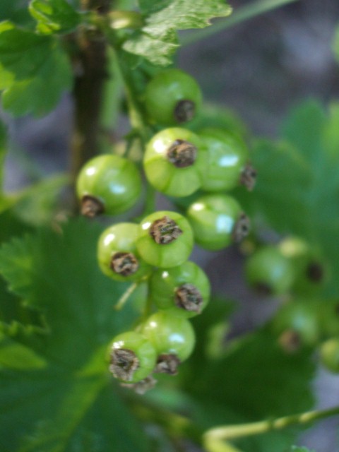 b0183670_124297.jpg