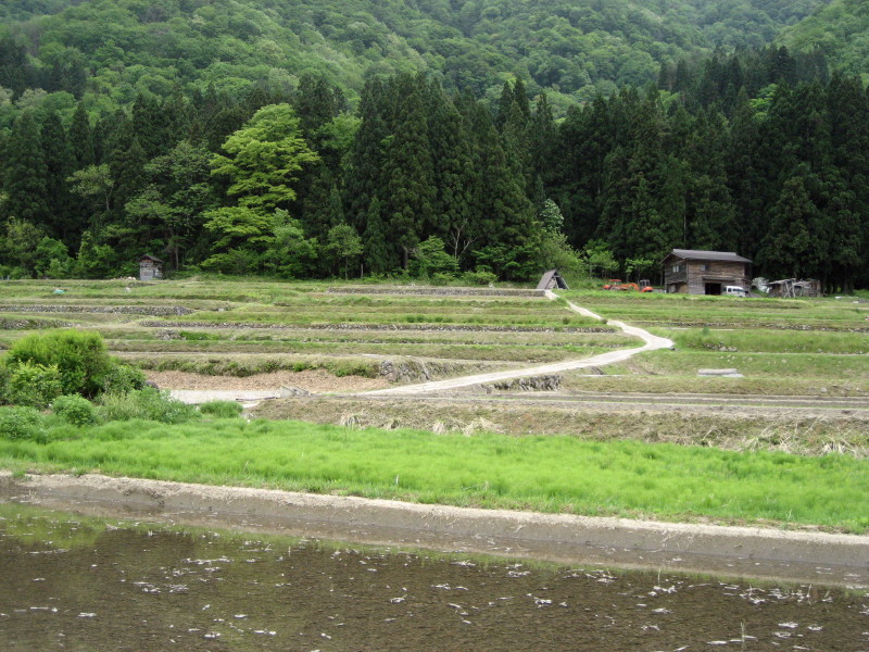 c0097371_2222194.jpg