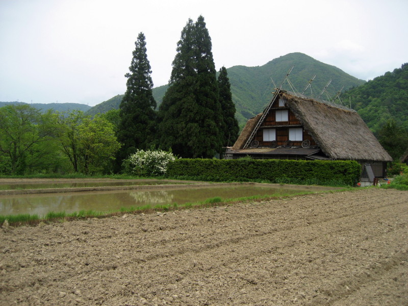 c0097371_293990.jpg