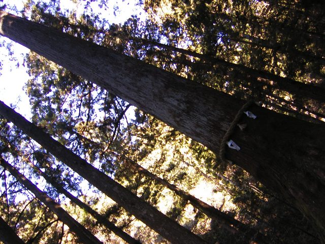 d0058675_119959.jpg