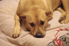f0004775_8255852.jpg