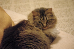 f0004775_8264275.jpg