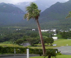 b0174079_22392117.jpg