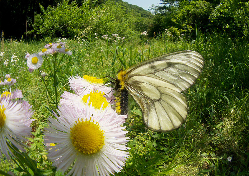 f0090680_23522061.jpg