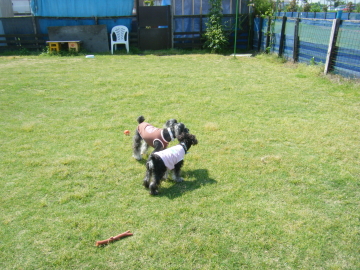 f0155381_035669.jpg