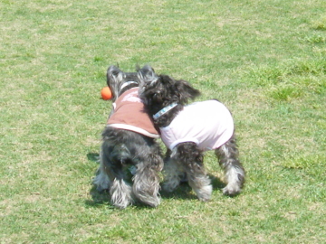 f0155381_044192.jpg