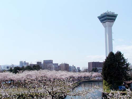 f0092382_11532341.jpg