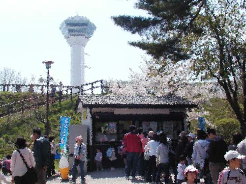 f0092382_11554261.jpg