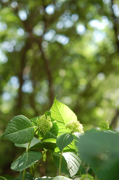 b0143983_9351828.jpg