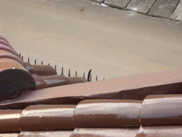 c0175883_1326898.jpg