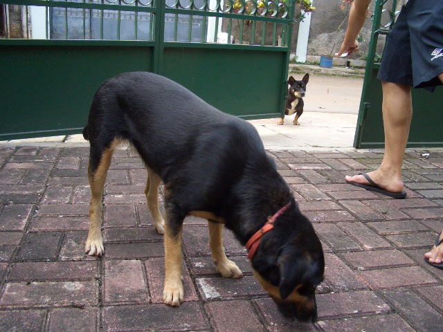 c0175883_13332581.jpg