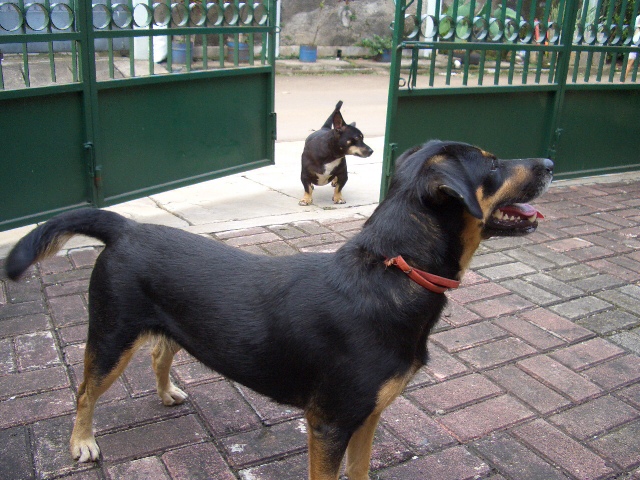 c0175883_1336542.jpg