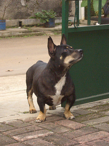 c0175883_1346045.jpg