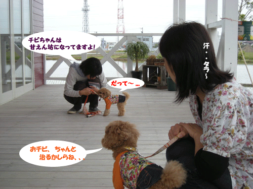 e0066883_2052198.gif
