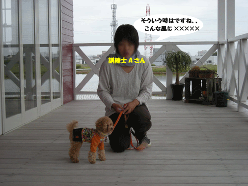 e0066883_20523348.gif