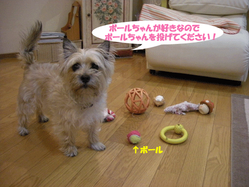 e0066883_2142517.gif