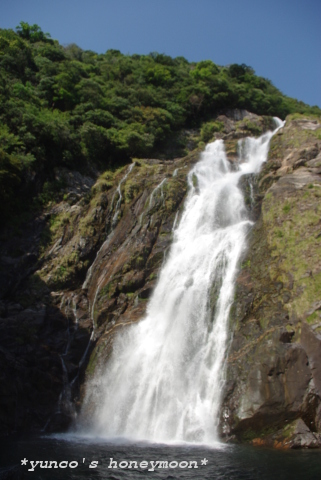 e0151483_13265496.jpg