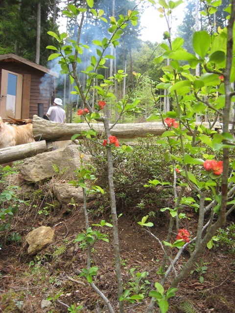 d0065484_0134850.jpg