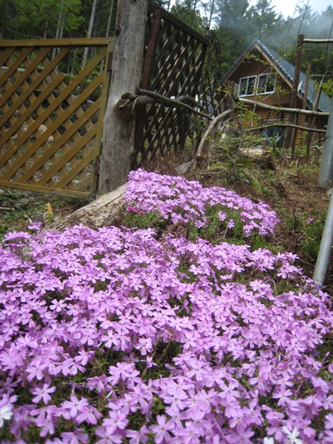 d0065484_0163039.jpg