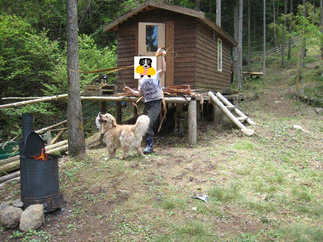 d0065484_034173.gif
