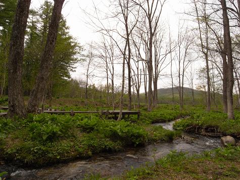 e0071185_15113100.jpg